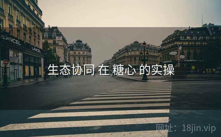 生态协同 在 糖心 的实操