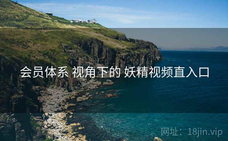 会员体系 视角下的 妖精视频直入口