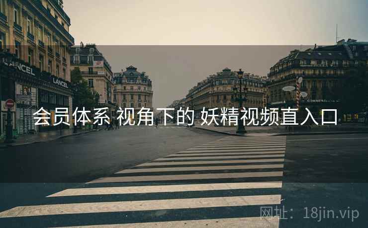 会员体系 视角下的 妖精视频直入口