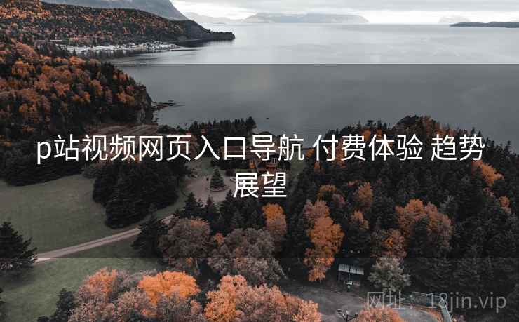 p站视频网页入口导航 付费体验 趋势展望