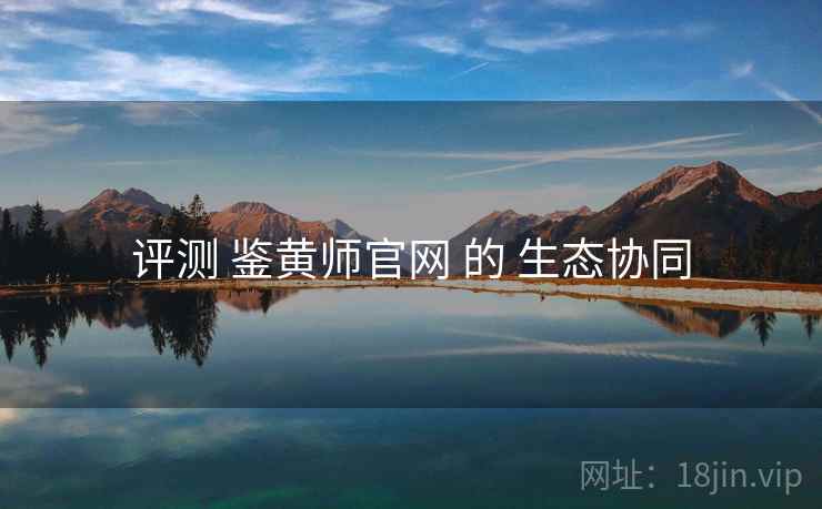 评测 鉴黄师官网 的 生态协同