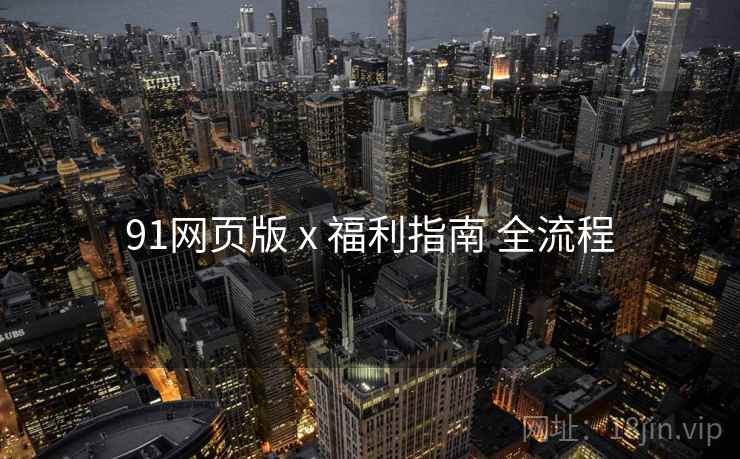 91网页版 x 福利指南 全流程