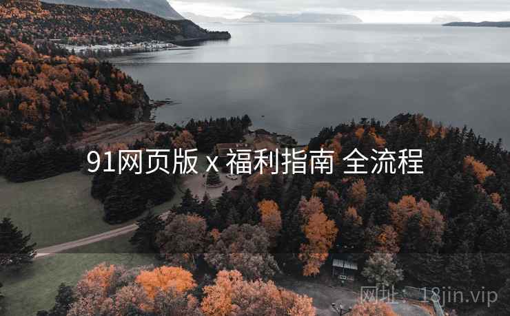 91网页版 x 福利指南 全流程