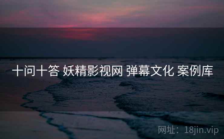 十问十答 妖精影视网 弹幕文化 案例库