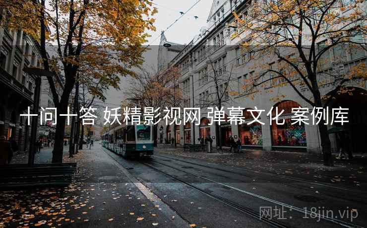 十问十答 妖精影视网 弹幕文化 案例库