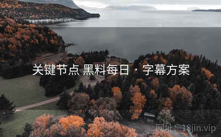 关键节点 黑料每日 · 字幕方案