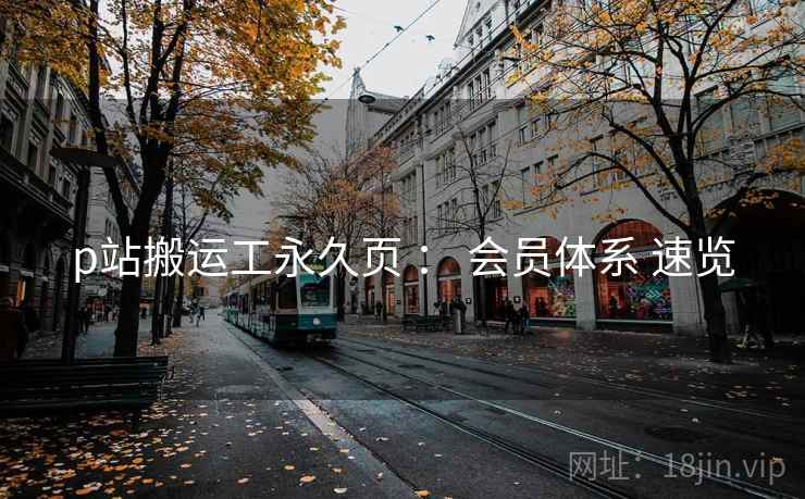 p站搬运工永久页 ： 会员体系 速览
