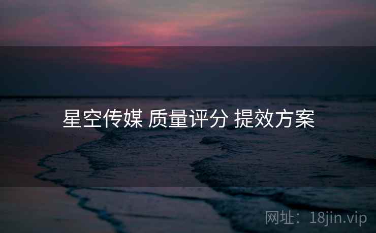 星空传媒 质量评分 提效方案