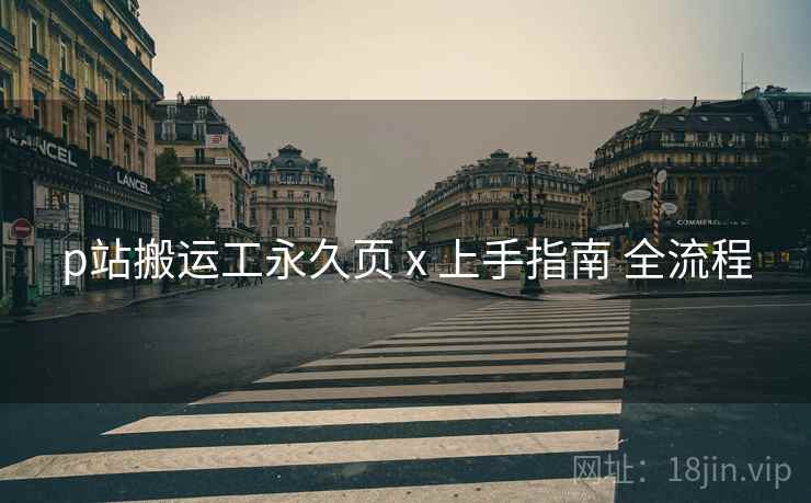 p站搬运工永久页 x 上手指南 全流程