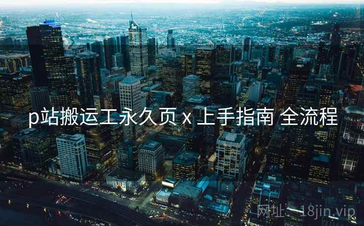 p站搬运工永久页 x 上手指南 全流程