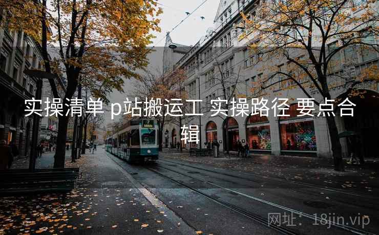 实操清单 p站搬运工 实操路径 要点合辑
