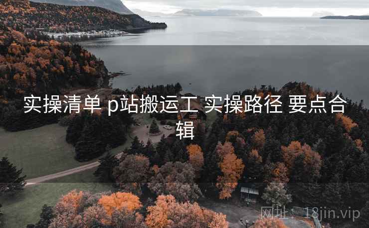 实操清单 p站搬运工 实操路径 要点合辑