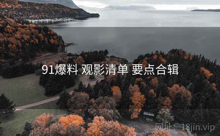 91爆料 观影清单 要点合辑