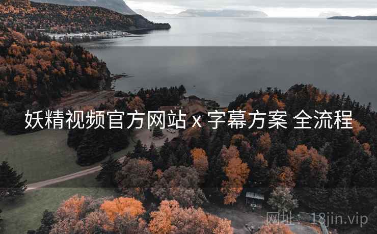 妖精视频官方网站 x 字幕方案 全流程