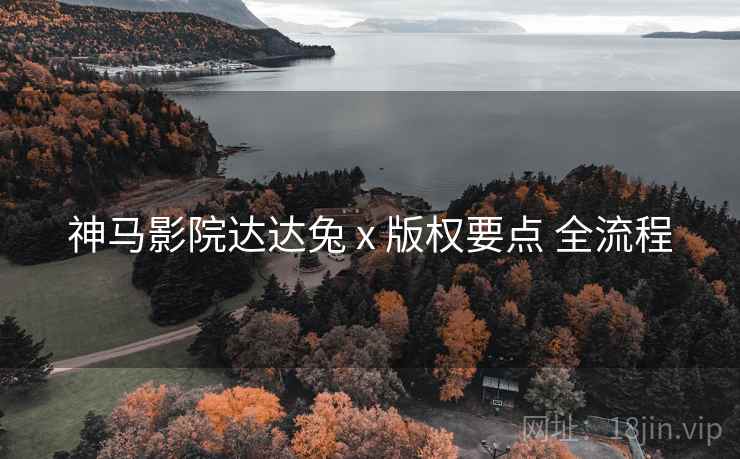 神马影院达达兔 x 版权要点 全流程