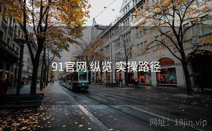 91官网 纵览 实操路径