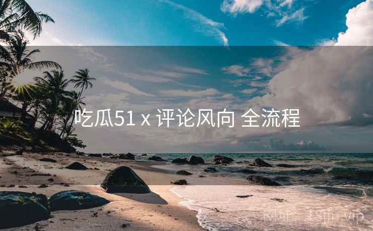 吃瓜51 x 评论风向 全流程