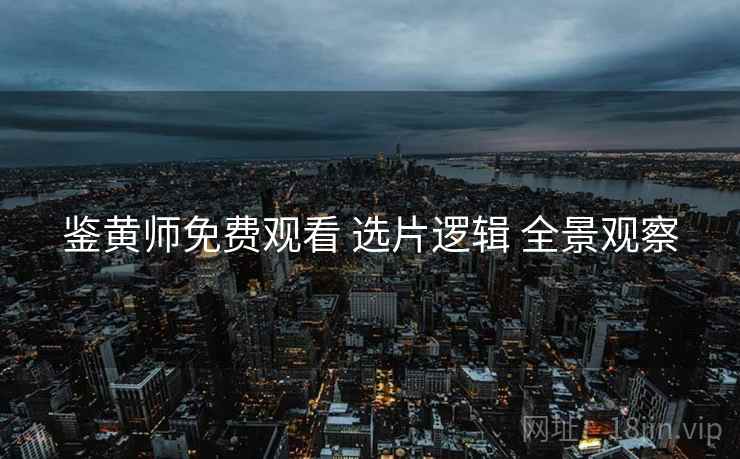 鉴黄师免费观看 选片逻辑 全景观察
