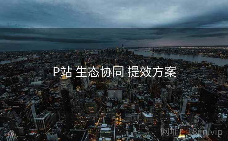 P站 生态协同 提效方案
