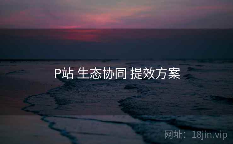 P站 生态协同 提效方案