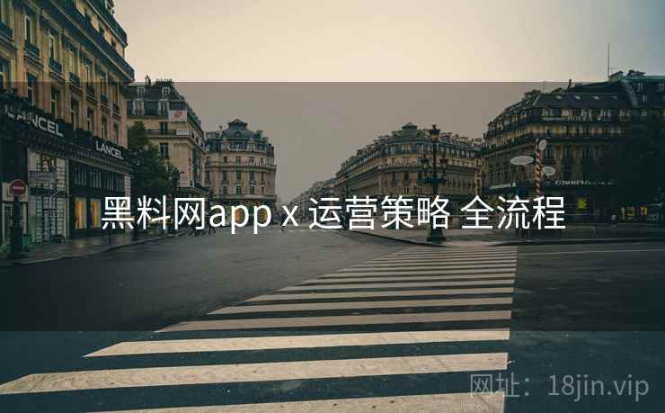 黑料网app x 运营策略 全流程