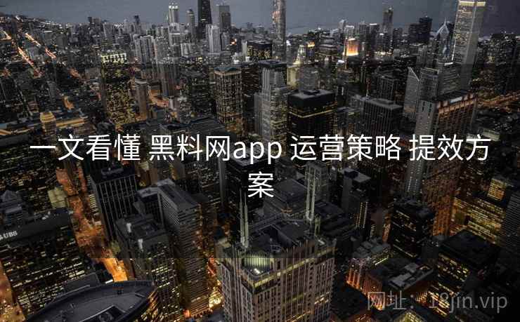 一文看懂 黑料网app 运营策略 提效方案