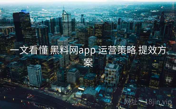 一文看懂 黑料网app 运营策略 提效方案