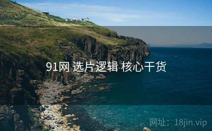 91网 选片逻辑 核心干货