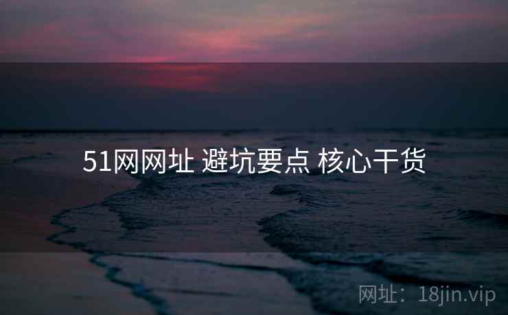 51网网址 避坑要点 核心干货