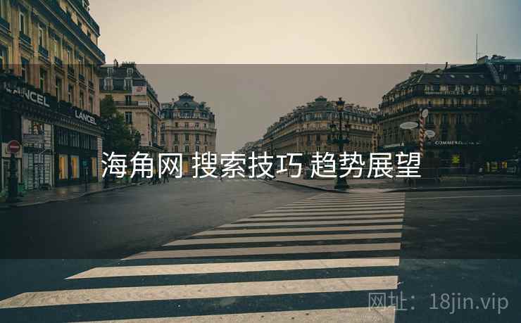 海角网 搜索技巧 趋势展望