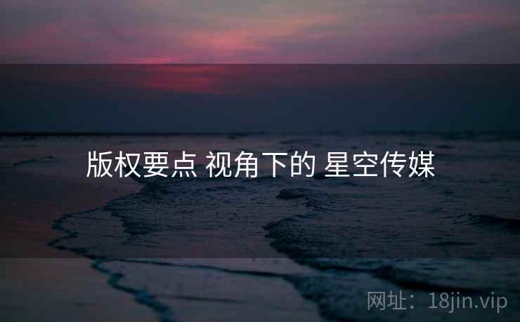 版权要点 视角下的 星空传媒