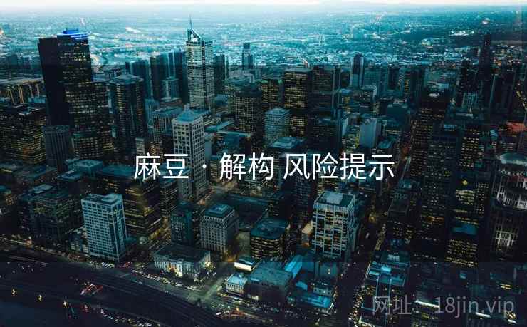 麻豆 · 解构 风险提示